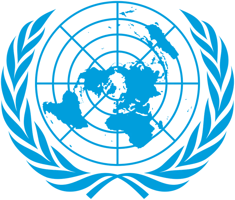 United Nations Security Council (UNSC)
